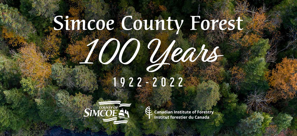 100 years of the Simcoe County Forest